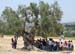 agrigento (19)