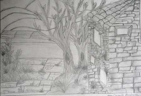 primaBs (2)