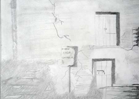 primaBs (5)