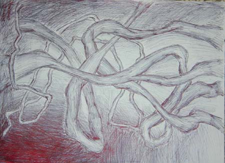 terza (3)