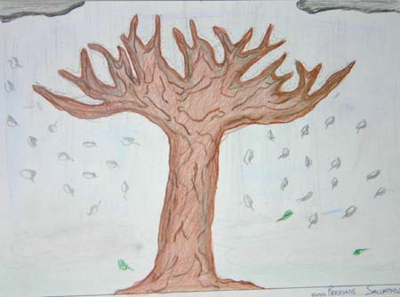 terza (7)