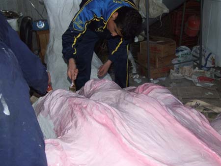 carnevale07 (10)