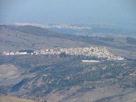 DSCF8025