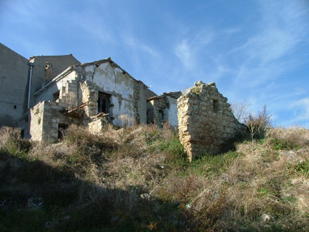 DSCF8064