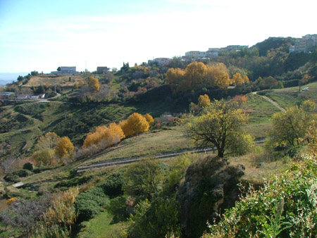 DSCF8067