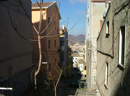 DSCF8202