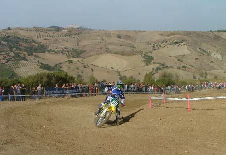 DSCF7817