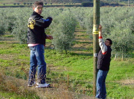 motocross07 (1)