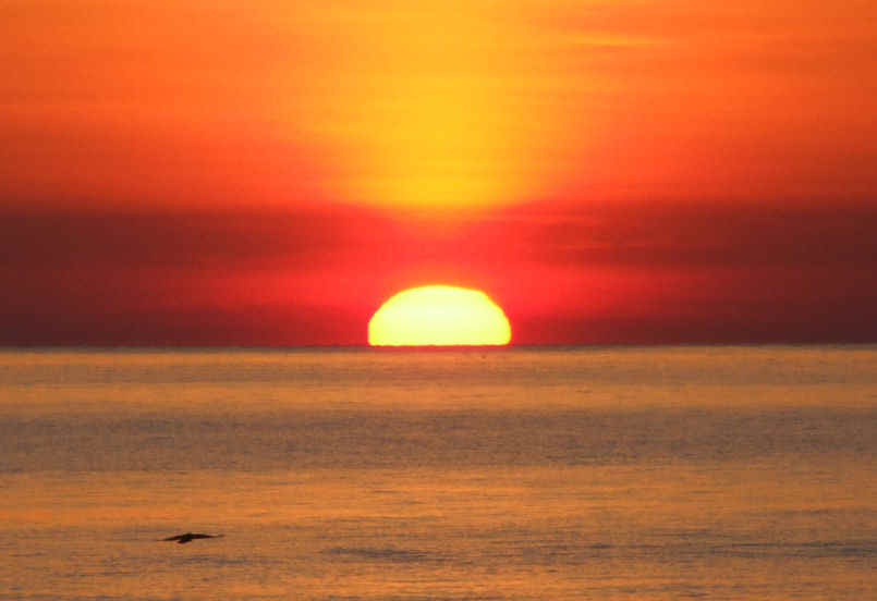 alba2.jpg (26424 byte)