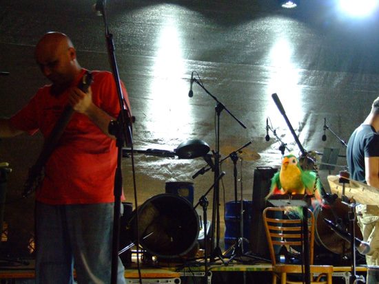 serata.gabbiano (16)
