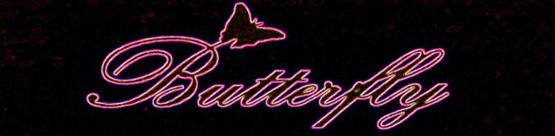 butterfly1.jpg (25549 byte)