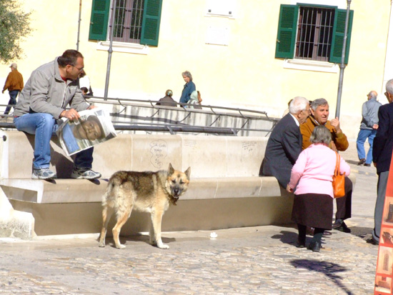 matera.sassi (53)